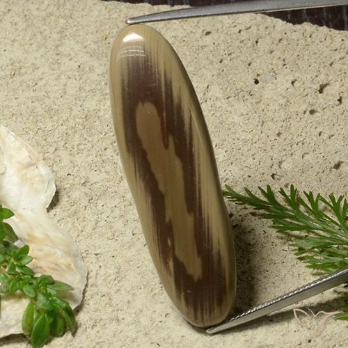 26.40ct 자연스러운 다색 벽옥, 타원형, 불투명체