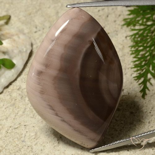 55.75ct 자연스러운 다색 벽옥, 팬시한, 불투명체