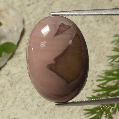 9.20ct 자연스러운 다색 벽옥, 타원형, 불투명체