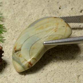 25.50캐럿 천연 다색 벽옥, 멋진 모양, 불투명체