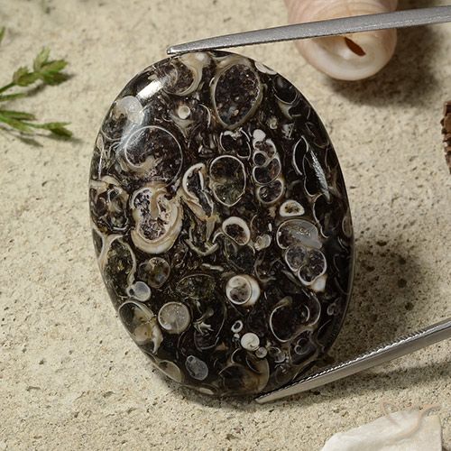 51.44ct 자연스러운 다색 벽옥, 타원형, 불투명체