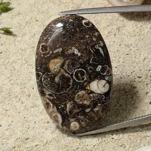 31.54ct 자연스러운 다색 벽옥, 타원형, 불투명체