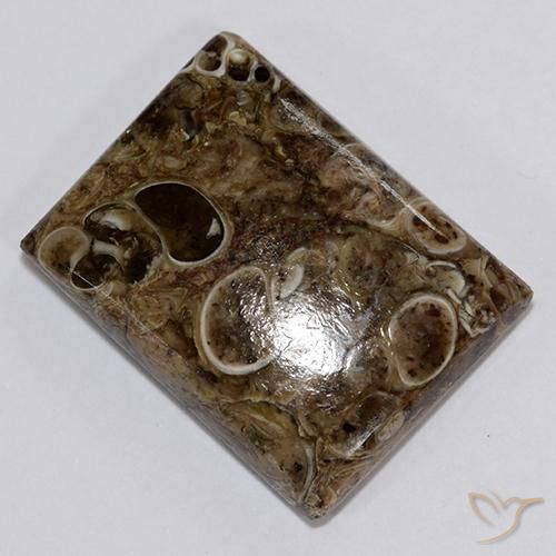 18.34ct 자연스러운 다색 벽옥, 바게트, 불투명체