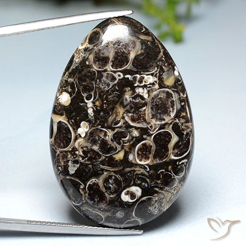 39.93ct 자연스러운 다색 벽옥, 배 모양, 불투명체