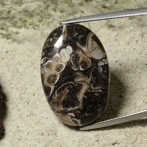 22.52ct 자연스러운 다색 벽옥, 타원형, 불투명체