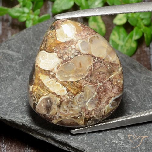 17.47ct 자연스러운 다색 벽옥, 팬시한, 불투명체
