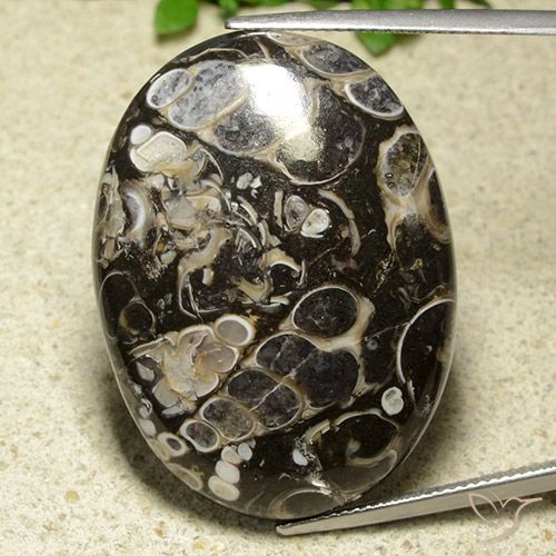 43.81ct 자연스러운 다색 벽옥, 타원형, 불투명체