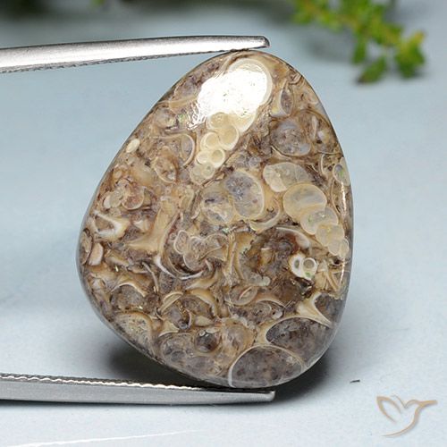 20.52ct 자연스러운 다색 벽옥, 팬시한, 불투명체