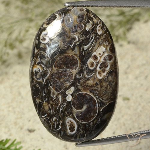 28.41ct 자연스러운 다색 벽옥, 타원형, 불투명체
