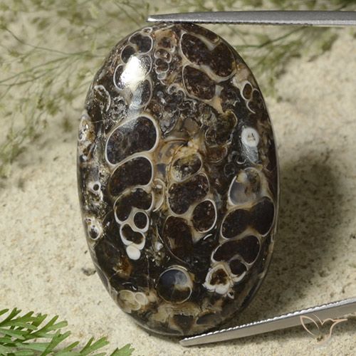 44.95ct 자연스러운 다색 벽옥, 타원형, 불투명체