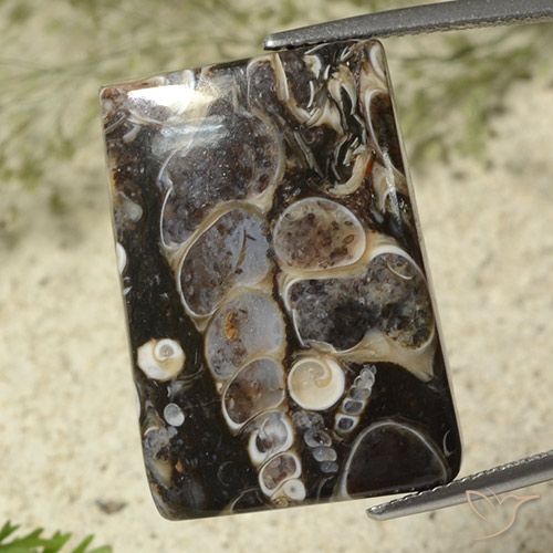 27.44ct 자연스러운 다색 벽옥, 바게트, 불투명체
