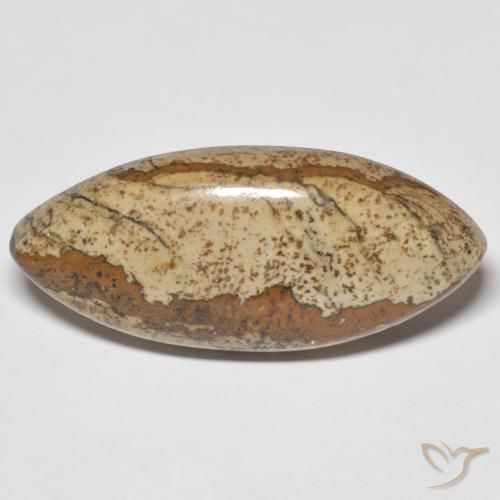 29.48ct 자연스러운 다색 벽옥, 보석, 불투명체