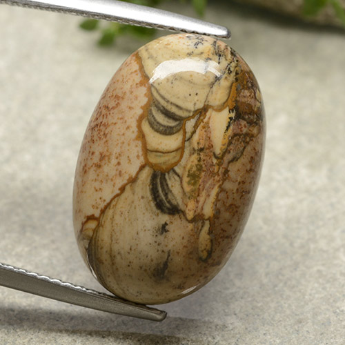 13.79캐럿 천연 멀티컬러 재스퍼, 타원형 컷, 20.2×13.3 mm, 불투명체