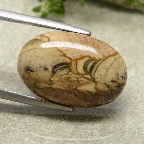 13.79캐럿 천연 멀티컬러 재스퍼, 타원형 컷, 20.2×13.3 mm, 불투명체