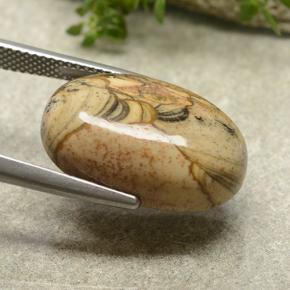 13.79캐럿 천연 멀티컬러 재스퍼, 타원형 컷, 20.2×13.3 mm, 불투명체