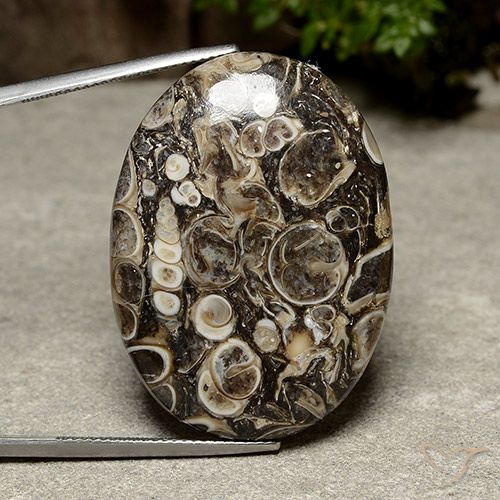 39.98ct 자연스러운 다색 벽옥, 타원형, 불투명체