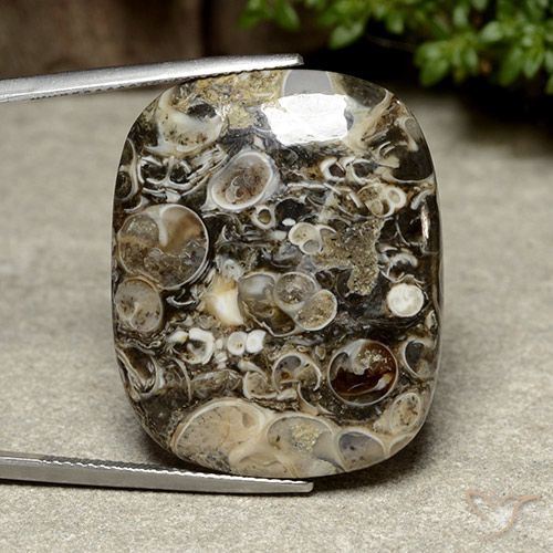 38.76ct 자연스러운 다색 벽옥, 방석, 불투명체