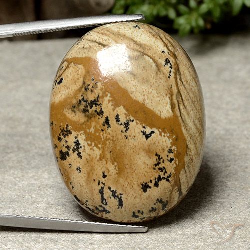 44.97ct 자연스러운 다색 벽옥, 타원형, 불투명체