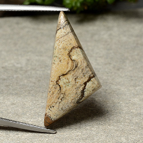 15.95캐럿 천연 멀티컬러 재스퍼, 트릴리언, 31×13.9 mm, 불투명체