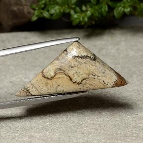 15.95캐럿 천연 멀티컬러 재스퍼, 트릴리언, 31×13.9 mm, 불투명체