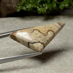 15.95캐럿 천연 멀티컬러 재스퍼, 트릴리언, 31×13.9 mm, 불투명체