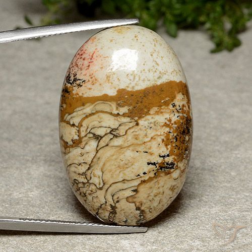 38.46ct 자연스러운 다색 벽옥, 타원형, 불투명체