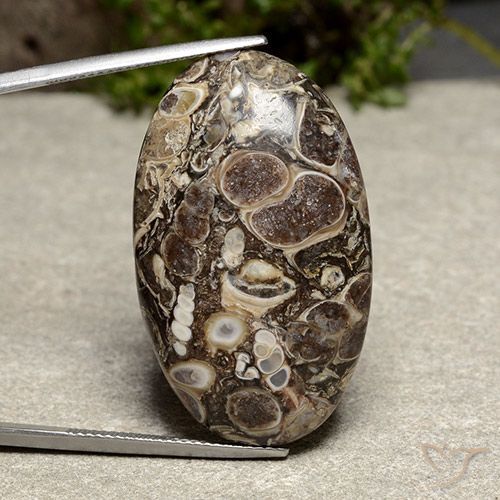 39.13ct 자연스러운 다색 벽옥, 타원형, 불투명체