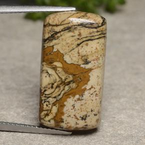13.18캐럿 천연 멀티컬러 재스퍼, 쿠션 컷, 22.8×12.3 mm, 불투명체