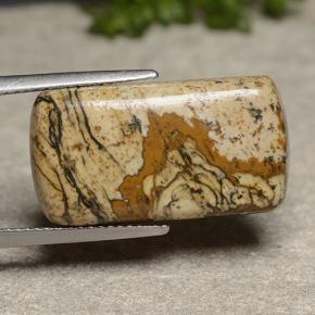 13.18캐럿 천연 멀티컬러 재스퍼, 쿠션 컷, 22.8×12.3 mm, 불투명체