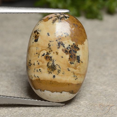 14.50ct 자연스러운 다색 벽옥, 타원형, 불투명체