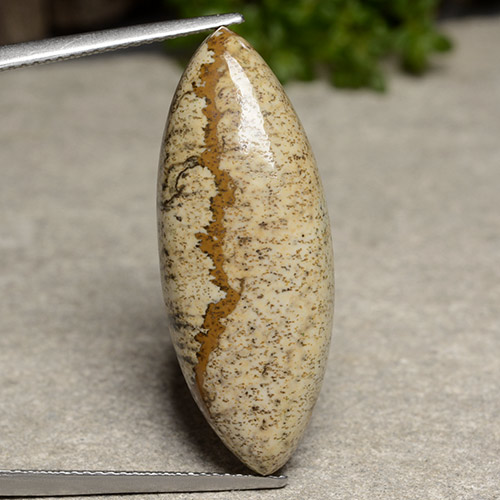 17.23캐럿 천연 멀티컬러 재스퍼, 마퀴즈, 31.7×12.3 mm, 불투명체