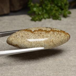 17.23캐럿 천연 멀티컬러 재스퍼, 마퀴즈, 31.7×12.3 mm, 불투명체