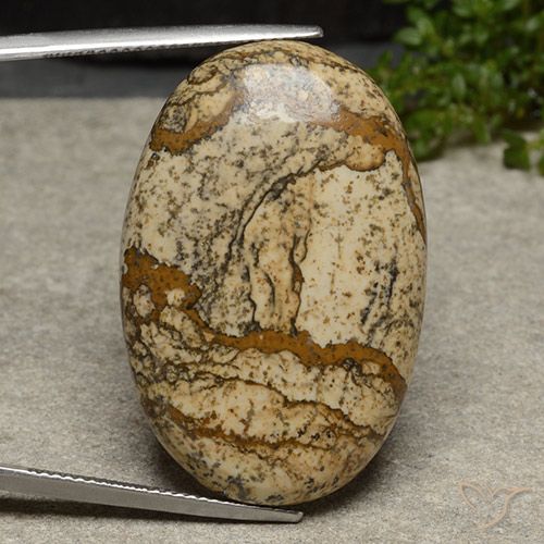 40.46ct 자연스러운 다색 벽옥, 타원형, 불투명체