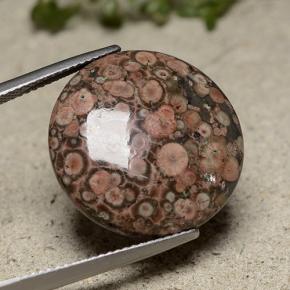 16.37캐럿 천연 멀티컬러 재스퍼, 라운드 컷, 20.65 mm, 불투명체