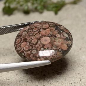 16.37캐럿 천연 멀티컬러 재스퍼, 라운드 컷, 20.65 mm, 불투명체