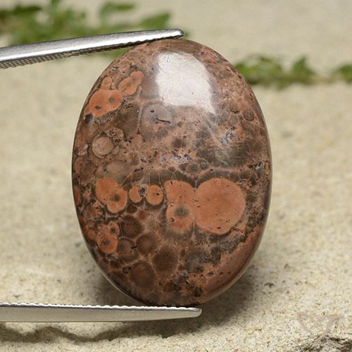 19.34ct 자연스러운 다색 벽옥, 타원형, 불투명체