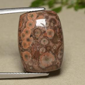 11.81캐럿 천연 멀티컬러 재스퍼, 쿠션 컷, 18.4×13.5 mm, 불투명체
