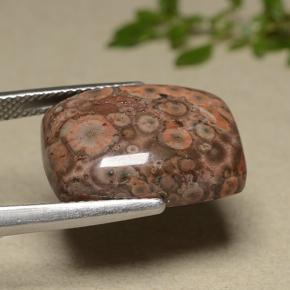 11.81캐럿 천연 멀티컬러 재스퍼, 쿠션 컷, 18.4×13.5 mm, 불투명체