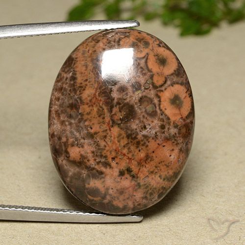 22.97ct 자연스러운 다색 벽옥, 타원형, 불투명체