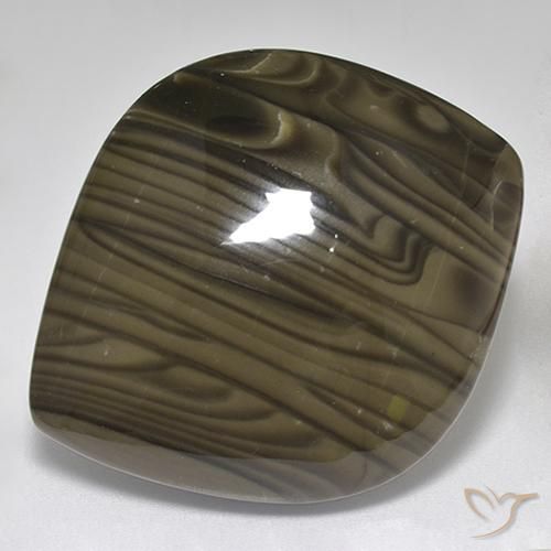 32.00ct 자연스러운 다크 초콜릿 브라운 벽옥, 팬시한, 불투명체
