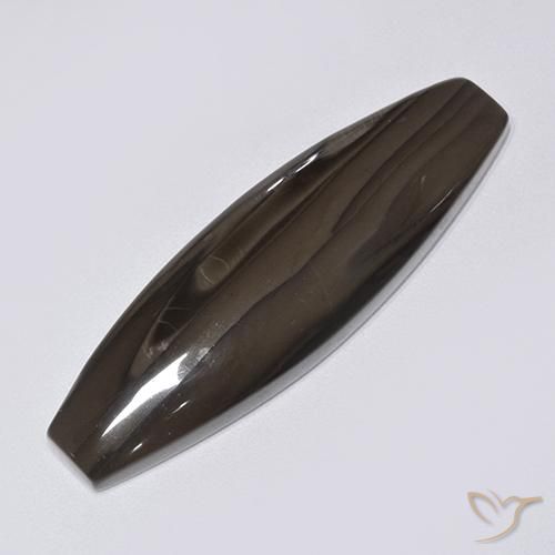 22.16ct 자연스러운 어두운 갈색 벽옥, 팬시한, 불투명체