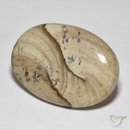 23.20ct 자연스러운 다색 벽옥, 타원형, 불투명체