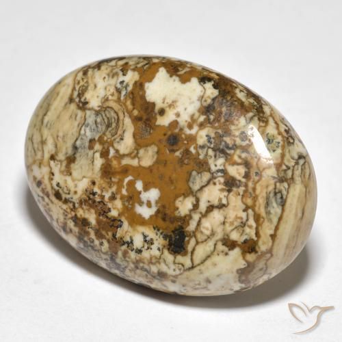 19.98ct 자연스러운 다색 벽옥, 타원형, 불투명체