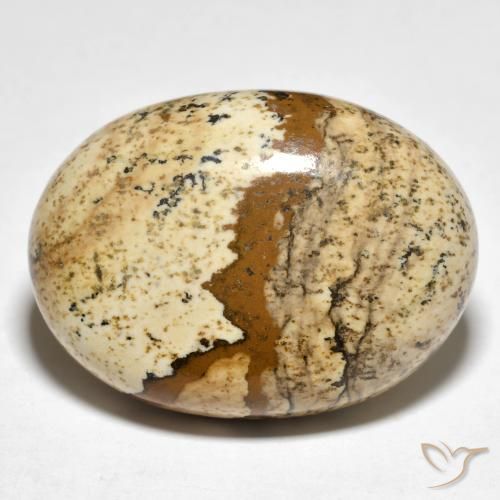 24.19ct 자연스러운 다색 벽옥, 타원형, 불투명체
