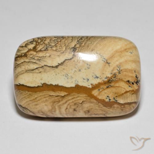 62.57ct 자연스러운 다색 벽옥, 방석, 불투명체