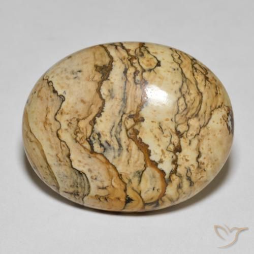 25.04ct 자연스러운 다색 벽옥, 타원형, 불투명체