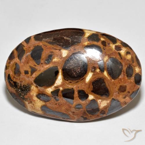 24.47ct 자연스러운 다색 벽옥, 타원형, 불투명체
