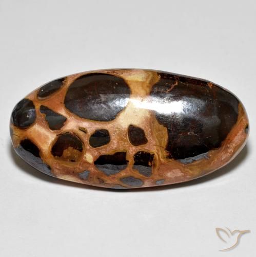 19.60ct 자연스러운 다색 벽옥, 타원형, 불투명체