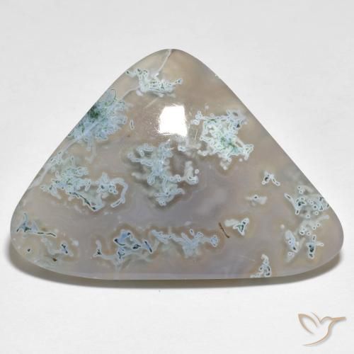 33.55ct 자연스러운 다색 벽옥, 일조, 투명한