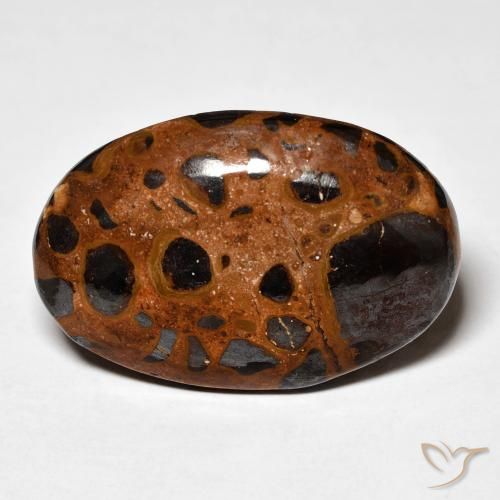21.98ct 자연스러운 다색 벽옥, 타원형, 불투명체